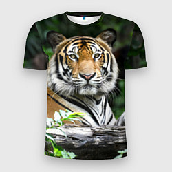 Футболка спортивная мужская Тигр в джунглях, цвет: 3D-принт