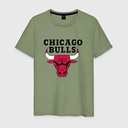 Футболка хлопковая мужская Chicago Bulls, цвет: авокадо