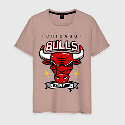 Футболка хлопковая мужская Chicago Bulls est. 1966, цвет: пыльно-розовый