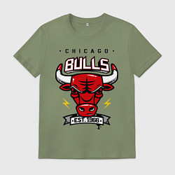 Футболка хлопковая мужская Chicago Bulls est. 1966, цвет: авокадо