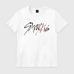 Футболка хлопковая мужская STRAY KIDS BANGCHAN, цвет: белый