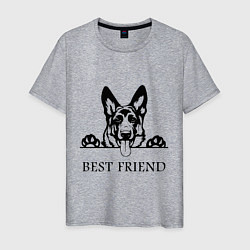 Футболка хлопковая мужская ОВЧАРКА BEST FRIEND Z, цвет: меланж