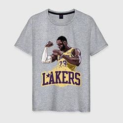 Футболка хлопковая мужская LeBron - Lakers, цвет: меланж