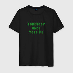 Футболка хлопковая мужская Somebody once told me - Shrek, цвет: черный