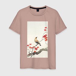 Футболка хлопковая мужская Japanese Plague Bird on Maple, цвет: пыльно-розовый