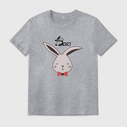 Футболка хлопковая мужская Кролик - 2023, цвет: меланж