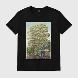 Футболка хлопковая мужская Хаяо Миядзаки - studio ghibli, цвет: черный