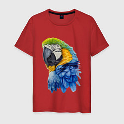 Футболка хлопковая мужская Сине-золотой попугай ара, цвет: красный