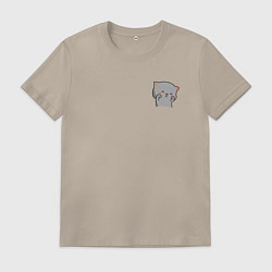 Футболка хлопковая мужская Серый милый котик для пары, цвет: миндальный