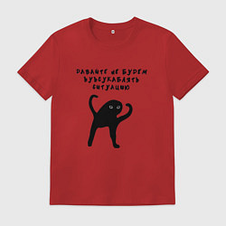 Футболка хлопковая мужская Давайте не будем усугублять, цвет: красный