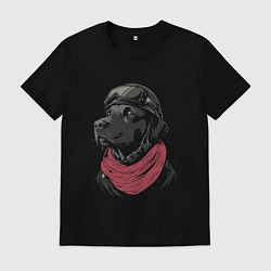 Футболка хлопковая мужская Собачка лётчик, цвет: черный