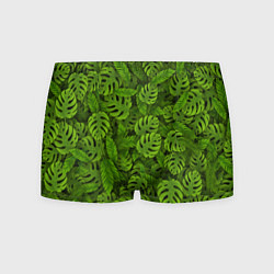 Мужские трусы Тропические листья
