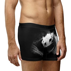 Трусы-боксеры мужские Молочная панда, цвет: 3D-принт — фото 2
