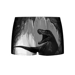 Трусы-боксеры мужские Пещера динозавра, цвет: 3D-принт
