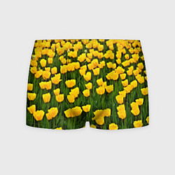 Трусы-боксеры мужские Жёлтые тюльпаны, цвет: 3D-принт