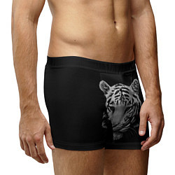 Трусы-боксеры мужские Серый тигр, цвет: 3D-принт — фото 2