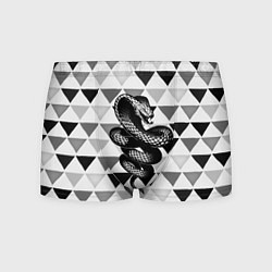 Мужские трусы Snake Geometric