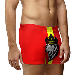 Трусы-боксеры мужские One Lion King, цвет: 3D-принт — фото 2