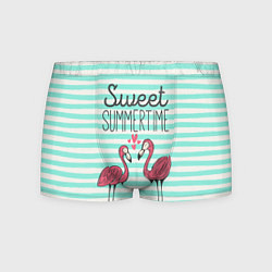 Мужские трусы Sweet Summer Flamingo