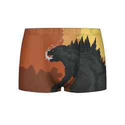 Трусы-боксеры мужские Godzilla: Monster Smoke, цвет: 3D-принт