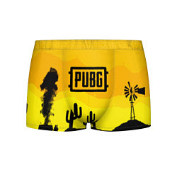 Трусы-боксеры мужские PUBG: Mexican Tradition, цвет: 3D-принт