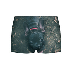 Трусы-боксеры мужские Бульдог морда собакена черного, цвет: 3D-принт