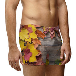 Трусы-боксеры мужские Осенний Забор, цвет: 3D-принт — фото 2