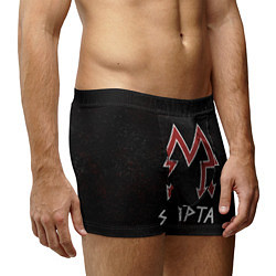 Трусы-боксеры мужские Спарта, цвет: 3D-принт — фото 2