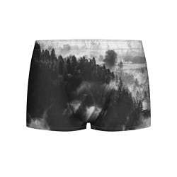Трусы-боксеры мужские Туман в лесу, цвет: 3D-принт