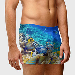 Трусы-боксеры мужские Морской мир, цвет: 3D-принт — фото 2