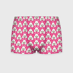 Мужские трусы Собака Пудель
