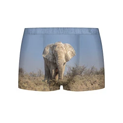 Трусы-боксеры мужские Африканский белый слон, цвет: 3D-принт
