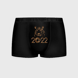 Трусы-боксеры мужские 2022 Tiger Bronze Theme, цвет: 3D-принт