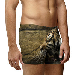 Трусы-боксеры мужские Зевающий тигр, цвет: 3D-принт — фото 2