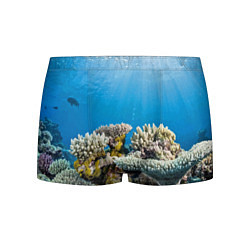 Трусы-боксеры мужские Кораллы в тропических водах индийского океана, цвет: 3D-принт