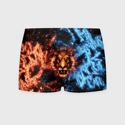 Трусы-боксеры мужские Огонь и вода - лев, цвет: 3D-принт