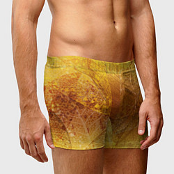 Трусы-боксеры мужские Осенний узор, цвет: 3D-принт — фото 2