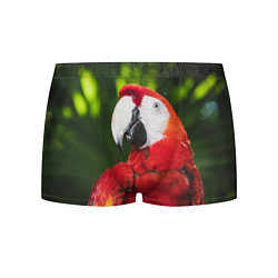 Трусы-боксеры мужские Красный попугай Ара, цвет: 3D-принт