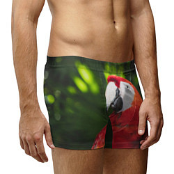 Трусы-боксеры мужские Красный попугай Ара, цвет: 3D-принт — фото 2