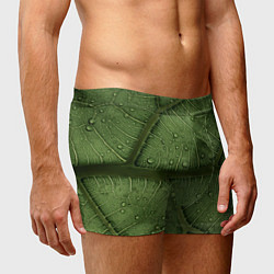 Трусы-боксеры мужские Текстура зелёной листы, цвет: 3D-принт — фото 2