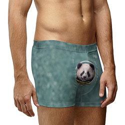 Трусы-боксеры мужские Милая мордочка панды с бамбуком, цвет: 3D-принт — фото 2