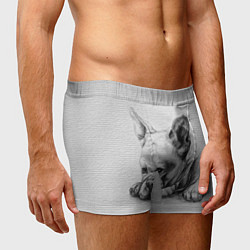 Трусы-боксеры мужские Французский бульдог чб рисунок на стене, цвет: 3D-принт — фото 2
