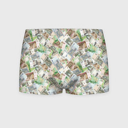 Трусы-боксеры мужские Российские денежные купюры, цвет: 3D-принт
