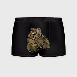Трусы-боксеры мужские Бурый медведь злится, цвет: 3D-принт
