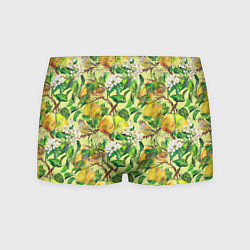 Мужские трусы Птица на грушевом дереве