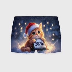 Трусы-боксеры мужские Кот который ждет новый год, цвет: 3D-принт
