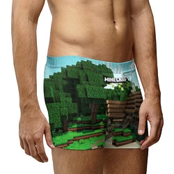 Трусы-боксеры мужские Minecraft House, цвет: 3D-принт — фото 2