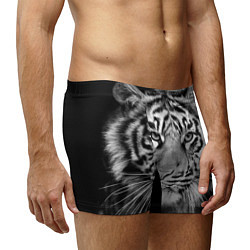 Трусы-боксеры мужские Красавец тигр цвета 3D-принт — фото 2