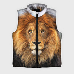 Мужской жилет Красавец лев, цвет: 3D-светло-серый