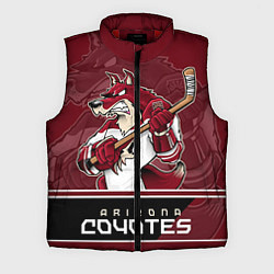 Мужской жилет Arizona Coyotes